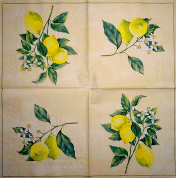 008 Lemons,  Oranges - 3-ply (weiß) - Ihr